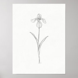 Iris Blume Sketch Print Poster