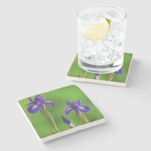 Iris-Blume Steinuntersetzer (Seitenansicht)