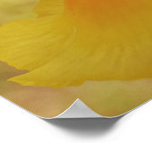Iris Blume Sunshine Scripting Fotografy Art Poster (Ecke)