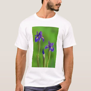 Iris-Blume T-Shirt