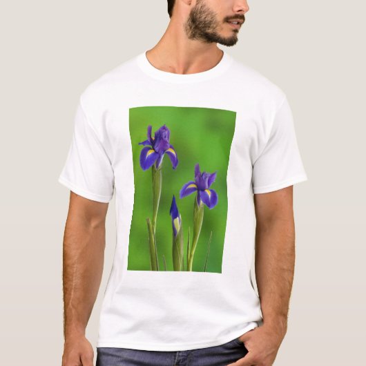 Iris-Blume T-Shirt (Vorderseite)
