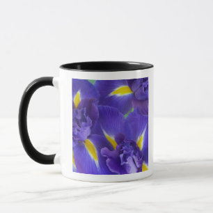 Iris-Blume Tasse