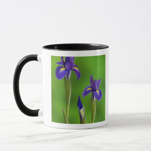 Iris-Blume Tasse (Links)
