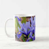 Iris Blume Tasse (Links)