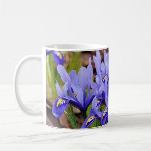 Iris Blume Tasse (Links)