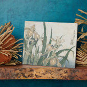 Iris-Blume und Grasshopper, c.1830-31 Fotoplatte (Seite)