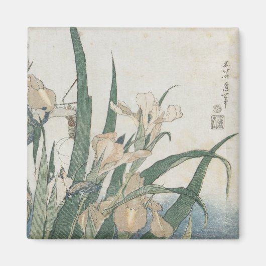 Iris-Blume und Grasshopper, c.1830-31 Magnet (Vorne)