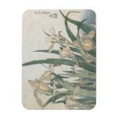 Iris-Blume und Grasshopper, c.1830-31 Magnet (Vertikal)