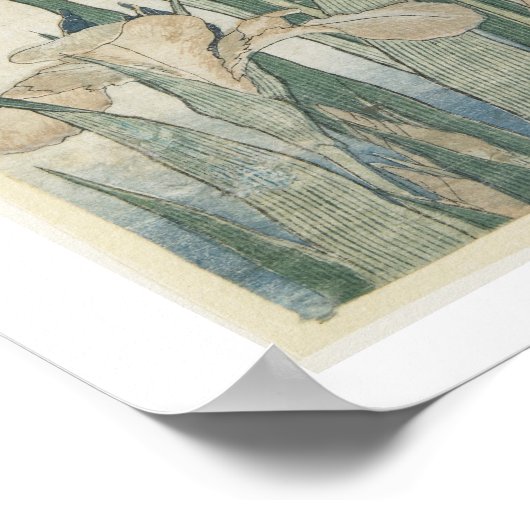 Iris-Blume und Grasshopper, c.1830-31 Poster (Ecke)