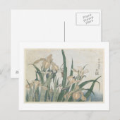 Iris-Blume und Grasshopper, c.1830-31 Postkarte (Vorne/Hinten)