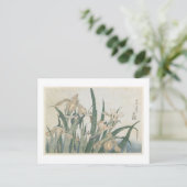 Iris-Blume und Grasshopper, c.1830-31 Postkarte (Stehend Vorderseite)