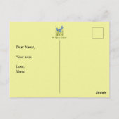 Iris Blumen Geburtstagspostkarte Postkarte (Rückseite)