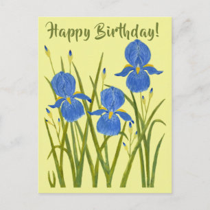 Iris Blumen Geburtstagspostkarte Postkarte