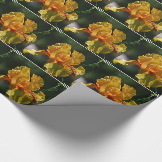 Iris-Blumen Geschenkpapier (Ecke)