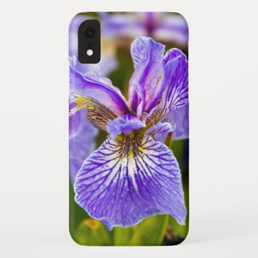 Iris-Blumen-Handyhülle Case-Mate iPhone Hülle (Rückseite)