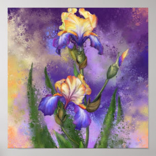 Iris Blumen Lila Schwertlilien Poster Malerei