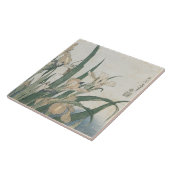 Iris-Blumen und Heuschrecke, c.1830-31 Fliese (Seite)