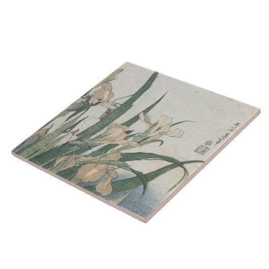 Iris-Blumen und Heuschrecke, c.1830-31 Fliese (Seite)