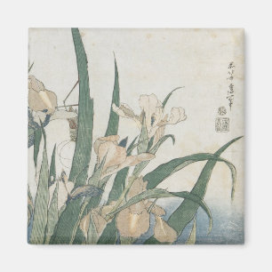 Iris-Blumen und Heuschrecke, c.1830-31 Magnet