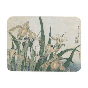 Iris-Blumen und Heuschrecke, c.1830-31 Magnet