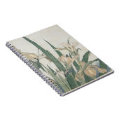 Iris-Blumen und Heuschrecke, c.1830-31 Notizblock (Rechte Seite)