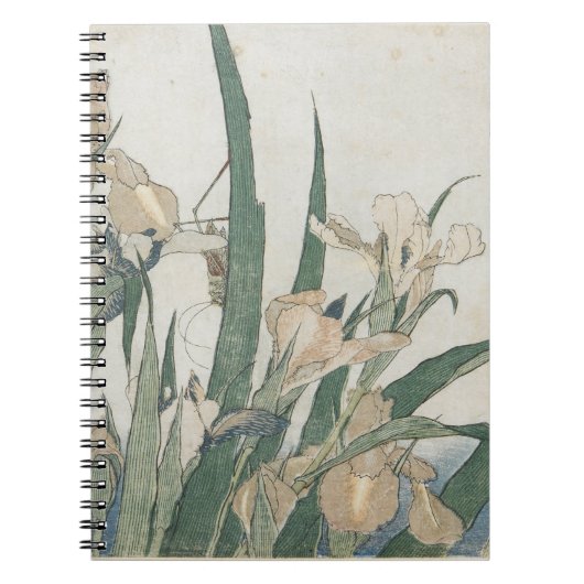 Iris-Blumen und Heuschrecke, c.1830-31 Notizblock (Vorderseite)
