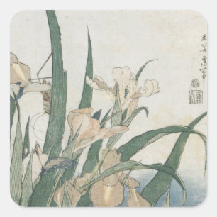 Iris-Blumen und Heuschrecke, c.1830-31 Quadratischer Aufkleber