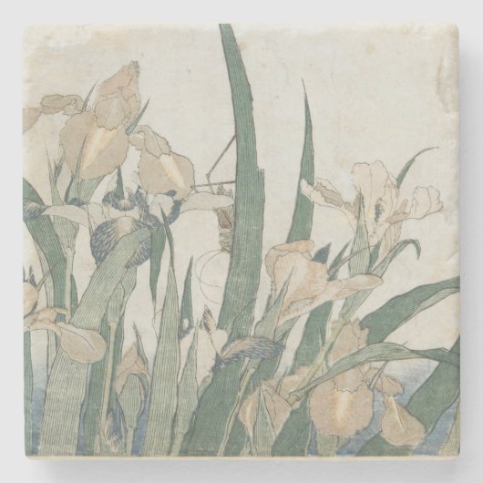 Iris-Blumen und Heuschrecke, c.1830-31 Steinuntersetzer (Vorderseite)