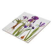 Iris-Blumengarten-botanische Blumen-Fliese Fliese (Seite)