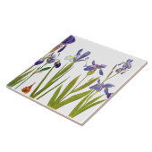 Iris-Blumengarten-botanische Blumen-Fliese Fliese (Seite)
