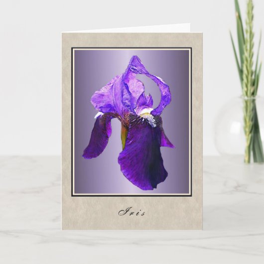 Iris - Blumenserie Karte (Vorderseite)