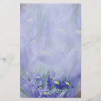 Iris-Blumenstrauß-Briefpapier Briefpapier