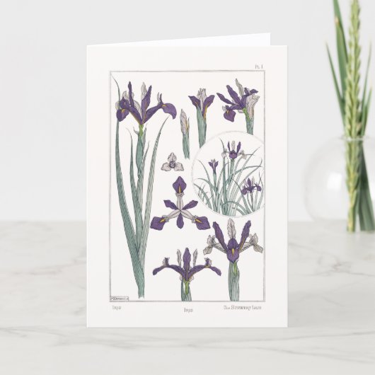 Iris Botanical Maurice Verneuil Blank Card Karte (Vorderseite)