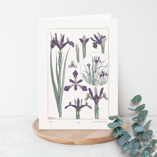 Iris Botanical Maurice Verneuil Blank Card Karte