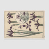 Iris, Botany Serie von Eugene Grasset Seidenpapier (Vorderseite)