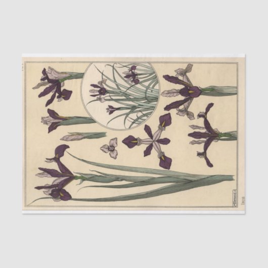 Iris, Botany Serie von Eugene Grasset Seidenpapier (Vorderseite)