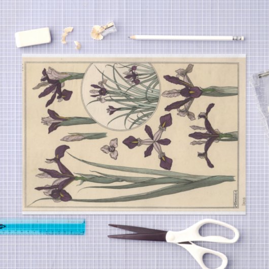 Iris, Botany Serie von Eugene Grasset Seidenpapier (Handwerk)