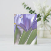 Iris Bud Postkarte (Stehend Vorderseite)