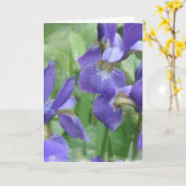 Iris Bulbs Grußkarte Karte (Gelbe Blume)