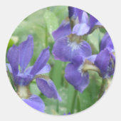 Iris Bulbs Stickers (Vorderseite)