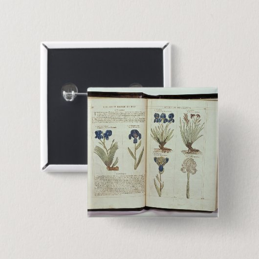Iris Button (Vorne & Hinten)