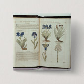 Iris Button (Vorderseite)