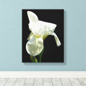 Iris Canvas Print Leinwanddruck (Insitu (Holzboden))