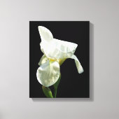 Iris Canvas Print Leinwanddruck (Vorderseite)
