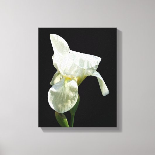 Iris Canvas Print Leinwanddruck (Vorderseite)