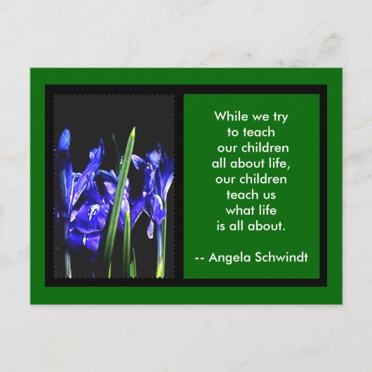 Iris Card 2 FramesDas MUSEUM Zazzle gibt grünes Postkarte (Vorderseite)