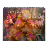 Iris Collection 1 Art Calendar 2013 Kalender (Titelbild)