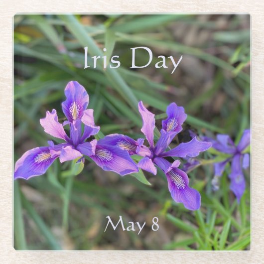 Iris Day, 8. Mai Glasuntersetzer (Vorderseite)