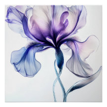 Iris Delicat in Blumen