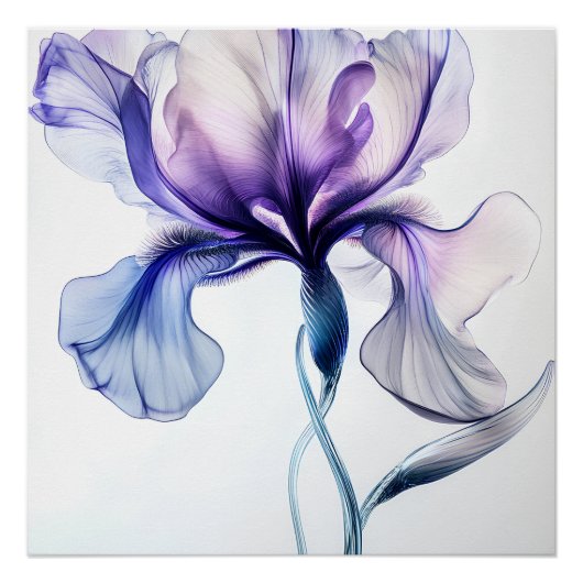 Iris Delicat in Blumen Poster (Vorderseite)